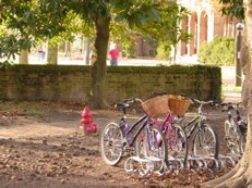 Jenny Photo of Bicycles